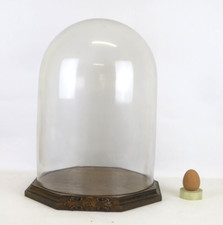 CAMPANA CUPOLA DI VETRO GRANDE MISURA CON BASE DI LEGNO CON INIZIALI h40 cm  LN7