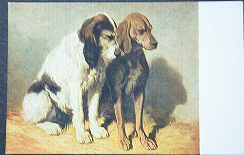 50190 cane cani - cani, da
