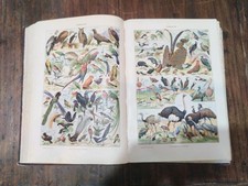 Antico Dizionario