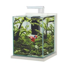Zolux Jalaya XL 18.7L acquario
