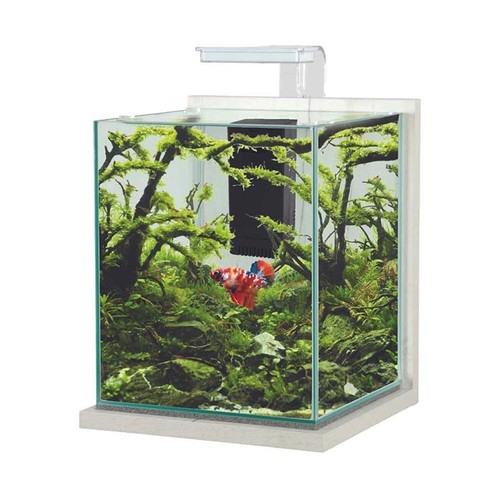 Zolux jalaya 7l - zolux, acquario
