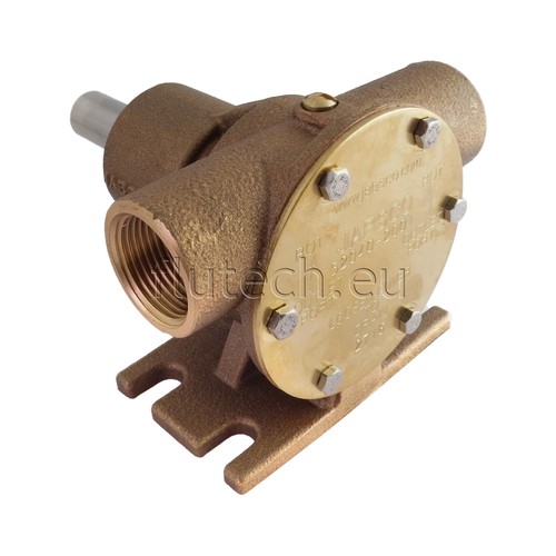 Pompa bronzo jabsco - in,