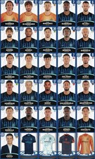Figurine cards inter - cards,