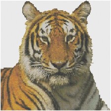 Punto Croce Motivo Da