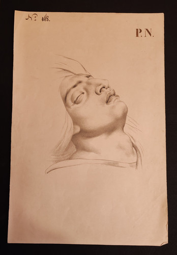 Disegno accademico matita - accademico,