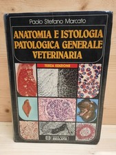 "Marcato" Anatomia e istologia