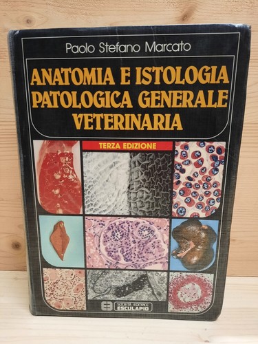 Marcato anatomia e istologia - "marcato",