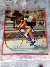 Vintage Poster Felice Gimondi Chiorda Salvarani Originale 1969 78x70cm