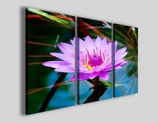 Quadri fiori Stain flower stampe canvas fiore di loto