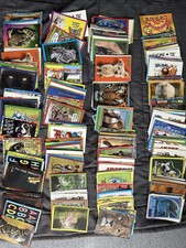 Figurine Amici Cucciolotti 2020