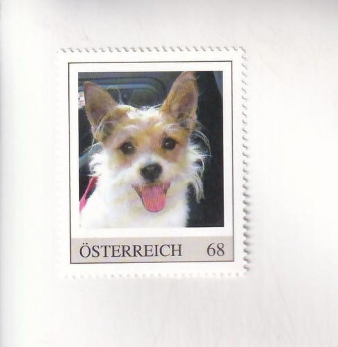 Francobollo austria cani - francobollo,
