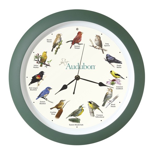 Audubon society singing bird - singing,