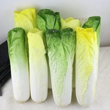 Esposizione della tabella