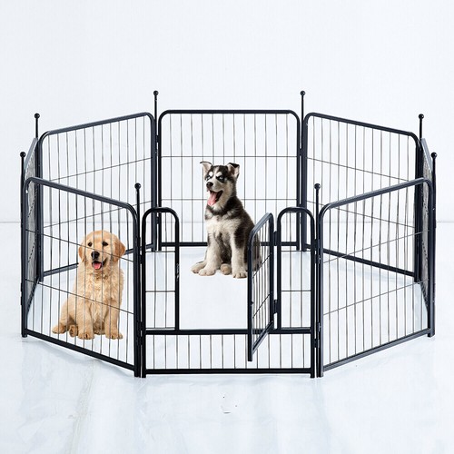 Box per cani metallo - cani, 32"
