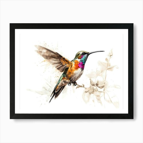 Kolibri colibrì acquerello - kolibri,