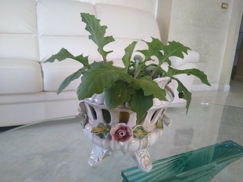 Capodimonte ceramica porta - capodimonte,