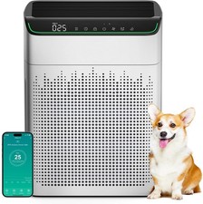 Purificatore d'Aria per Casa