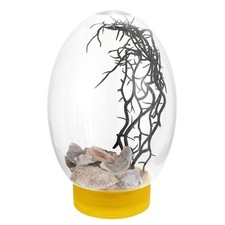 Piccoli acquari a led vasca