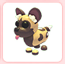 Cane selvatico - 🔥 ANIMALE