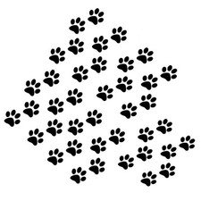 40 Pezzi Confezione Adesivi