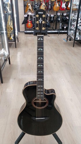 Chitarra elettrica acustica
