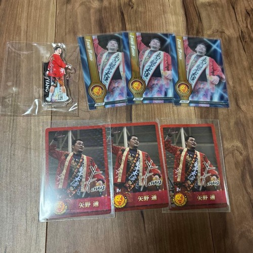 Nuovo japan pro wrestling - japan,