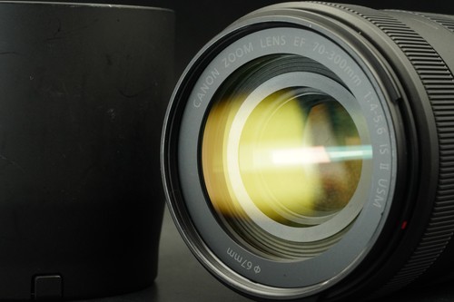 Canon 300 4 5 6 - canon, is