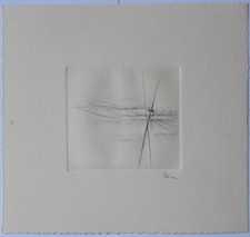 Guido Strazza (Santa Fiora 1922) - Insetti, 1980 - Incisione n° 13