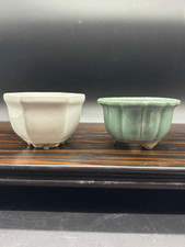 set di 2 Mini rari vasi bonsai