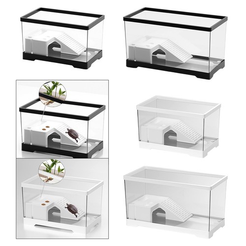 Acquario per tartarughe con - per,