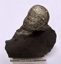 Minerali perfetto nodulo di