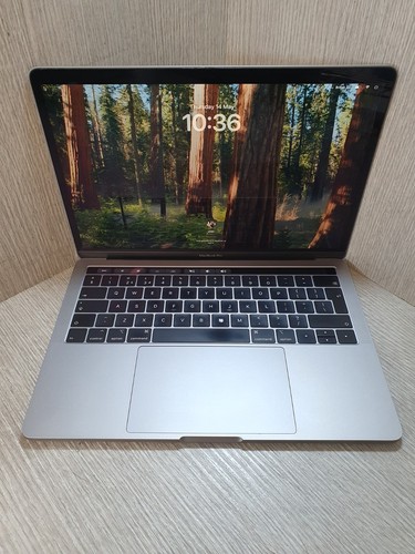 Apple macbook pro laptop - pro,