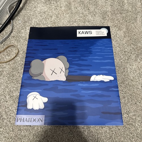Kaws libro definitivo su - kaws,