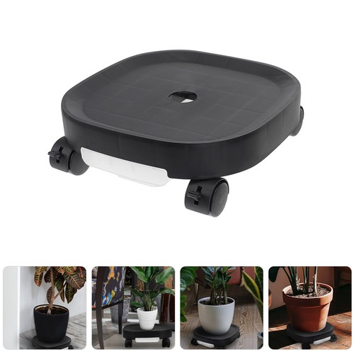 Plant caddy 79 pollici - plant, 11,79