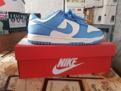 Nike dunk low - coast, 7uk