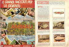 Album Figurine Animali di Tutto Il Mondo in Pdf