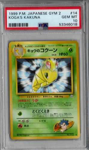 Pop pokemon palestra - pop,