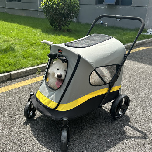 Passeggino premium 1 - in,
