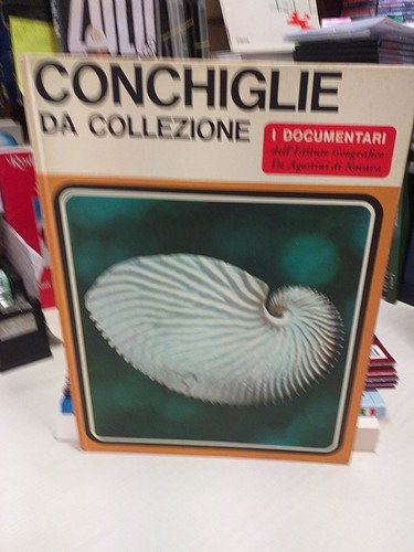 Documentari conchiglie da - conchiglie,