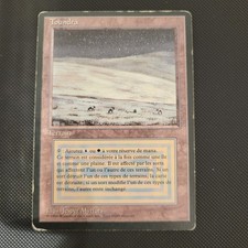 Toundra Magic Mtg Tundra -
