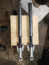 FORCELLE MONSTER DUCATI