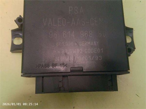 9661496880 centralina - ,