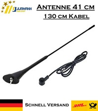 Antenna tetto auto 41 cm AM FM