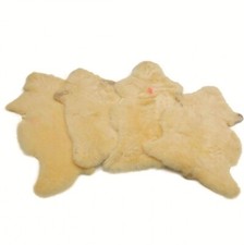 Pelle Agnello di Pecora
