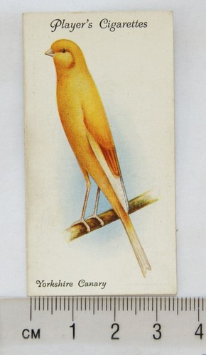 1933 john player sons aviary - john, &