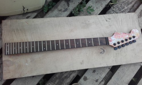 Squier showmaster tasti - squier, 24