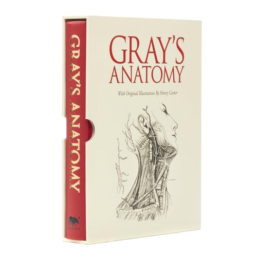 Gray anatomy - anatomy,