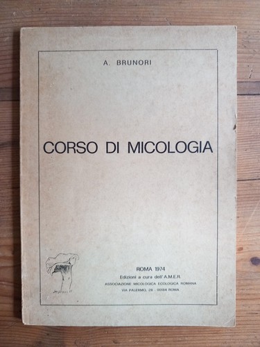 Brunori corso di - corso,