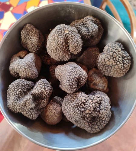 Tartufo nero fresco - tartufo,