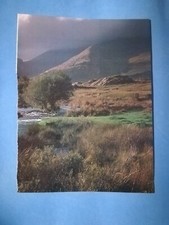 CLIPPING GIORNALE PAESAGGIO TURISMO VIAGGI VIAGGIO DA COLLEZIONE - (160)